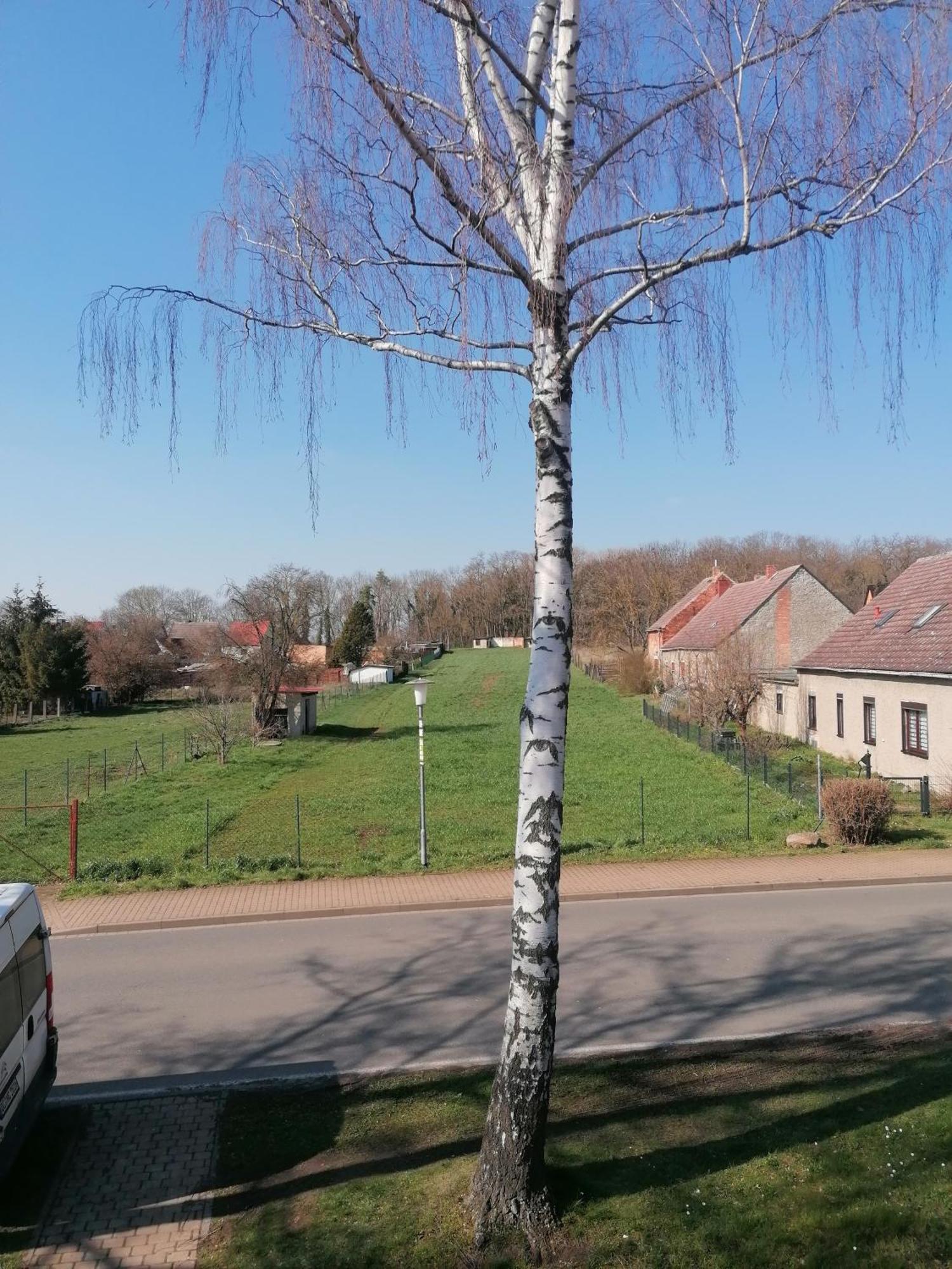 Ferienwohnung IV Sarrebriese Wanzleben-Borde 外观 照片